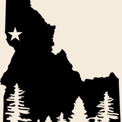 Lewiston State Logo Thumbnail